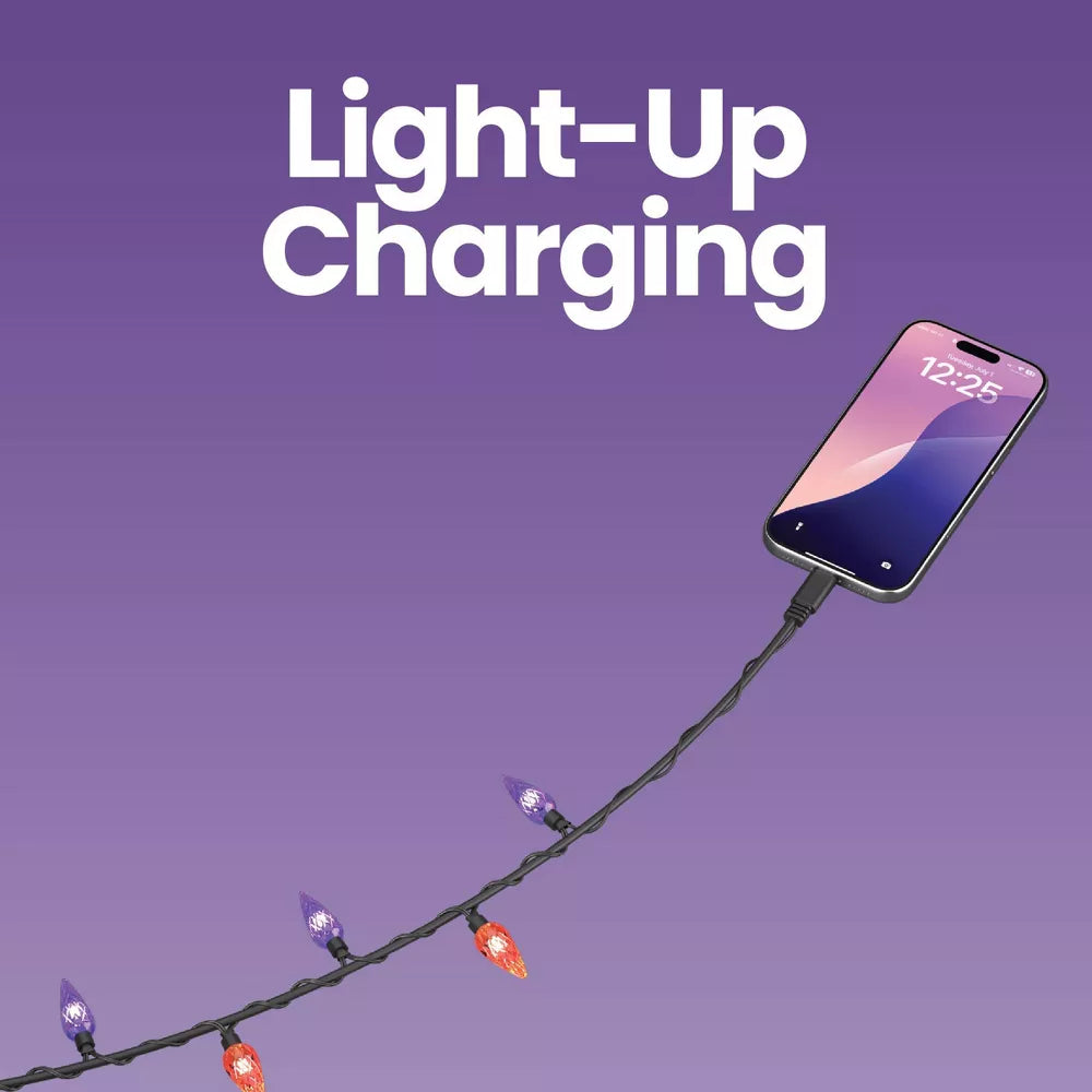 3ft Illuminated USB-C to USB-C Charging & Data Cable